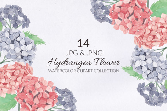 14 Hydrangea Flower Watercolor Set for Design