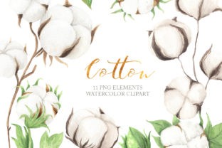 Elevating Rustic Design with Watercolor Cotton Clipart