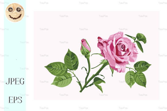 Evaluating the Vector Greeting Card with Pink Roses for Design Projects
