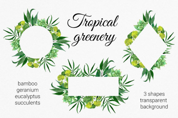 Evaluating Tropical Greenery Frame Cliparts for Creative Projects