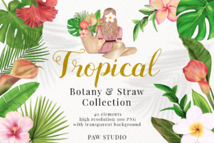 Evaluating Tropical Illustrations of Flowers and Leaves for Design Projects