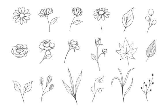 Flowers Sketch Collection with Line Art: A Practical Guide to Usage and File Selection