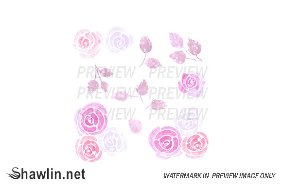 Loose Watercolor Roses: Versatile Floral Design Assets