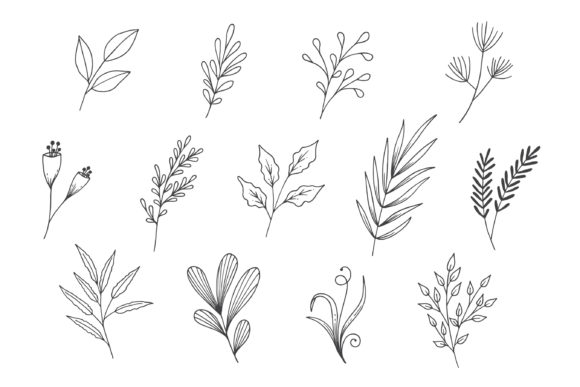 Natural Leaves Line Art Collection for Design